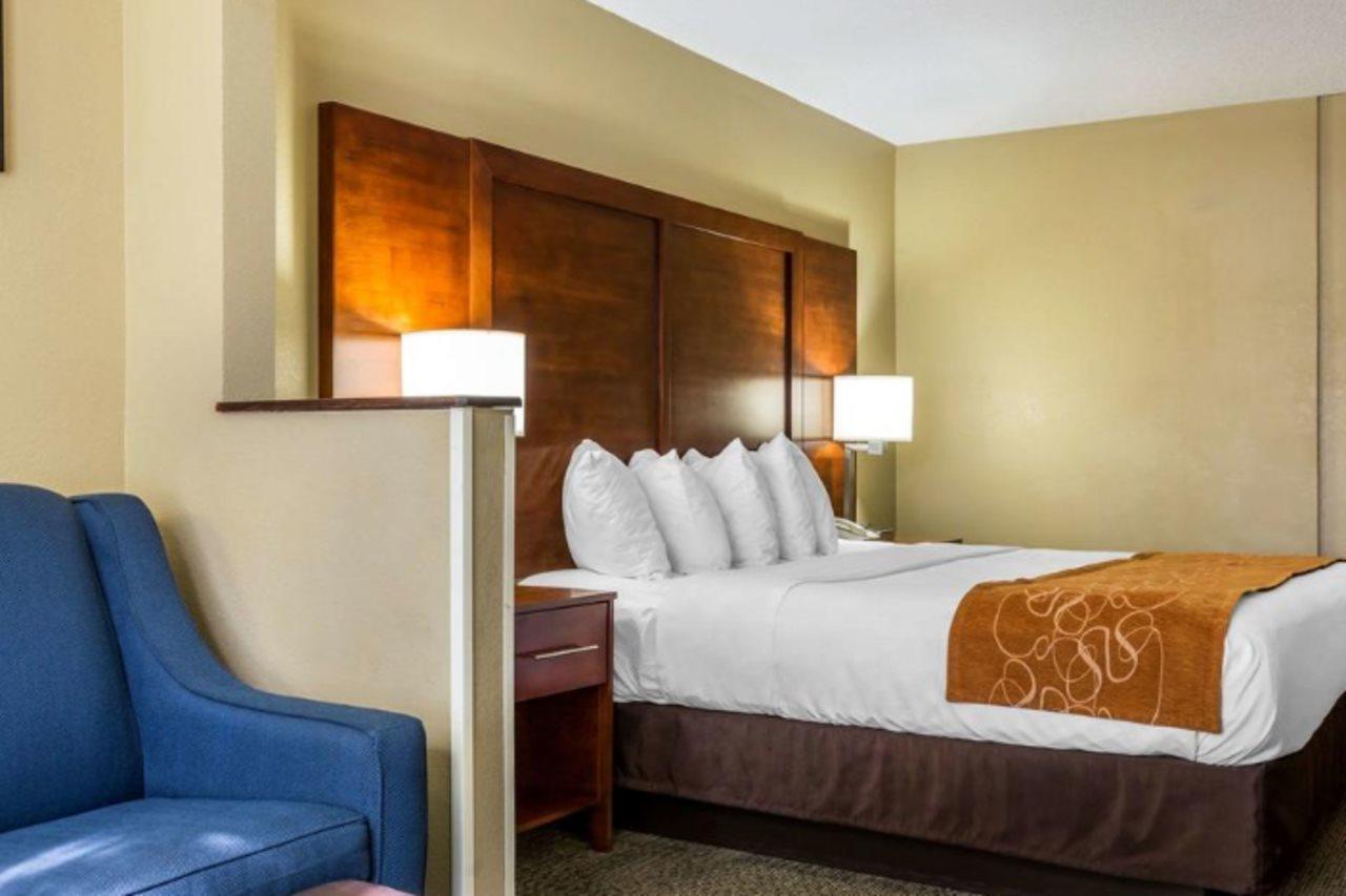 Comfort Suites Near I-80 And I-94 Lansing Buitenkant foto