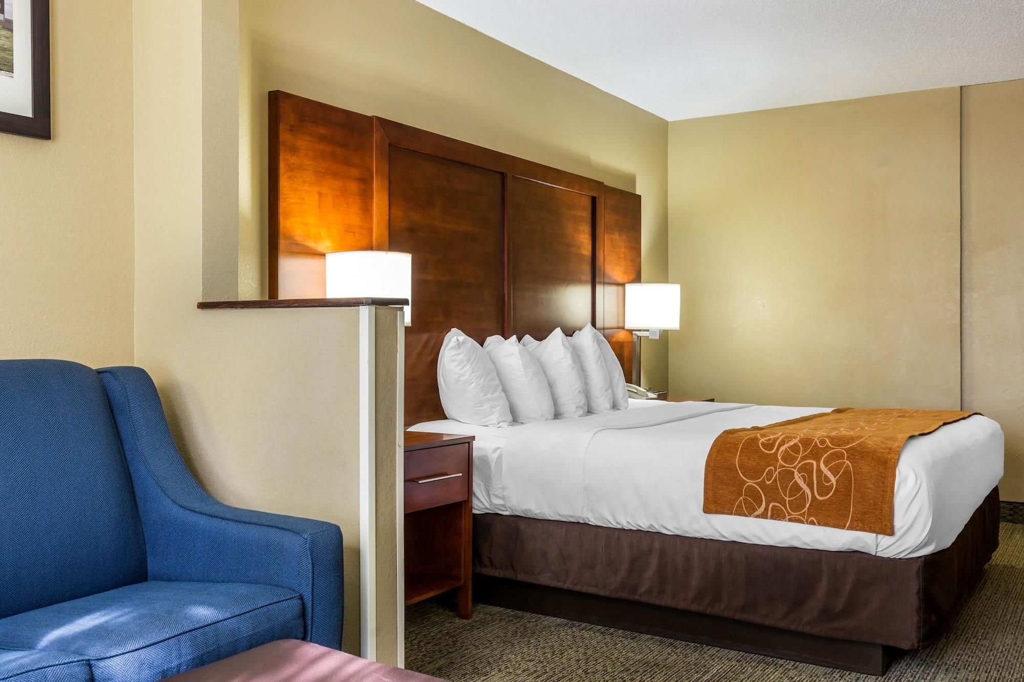 Comfort Suites Near I-80 And I-94 Lansing Buitenkant foto