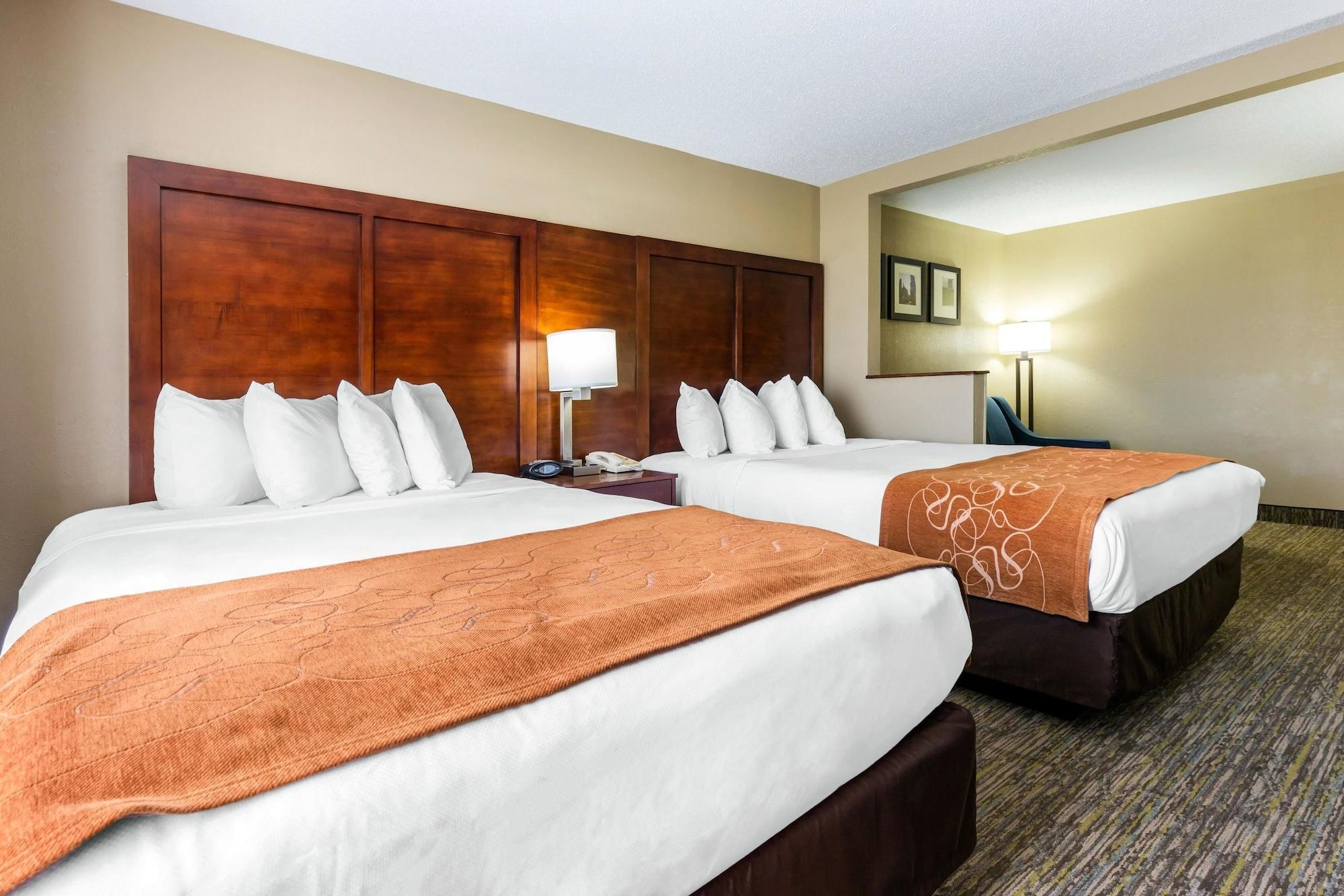 Comfort Suites Near I-80 And I-94 Lansing Buitenkant foto
