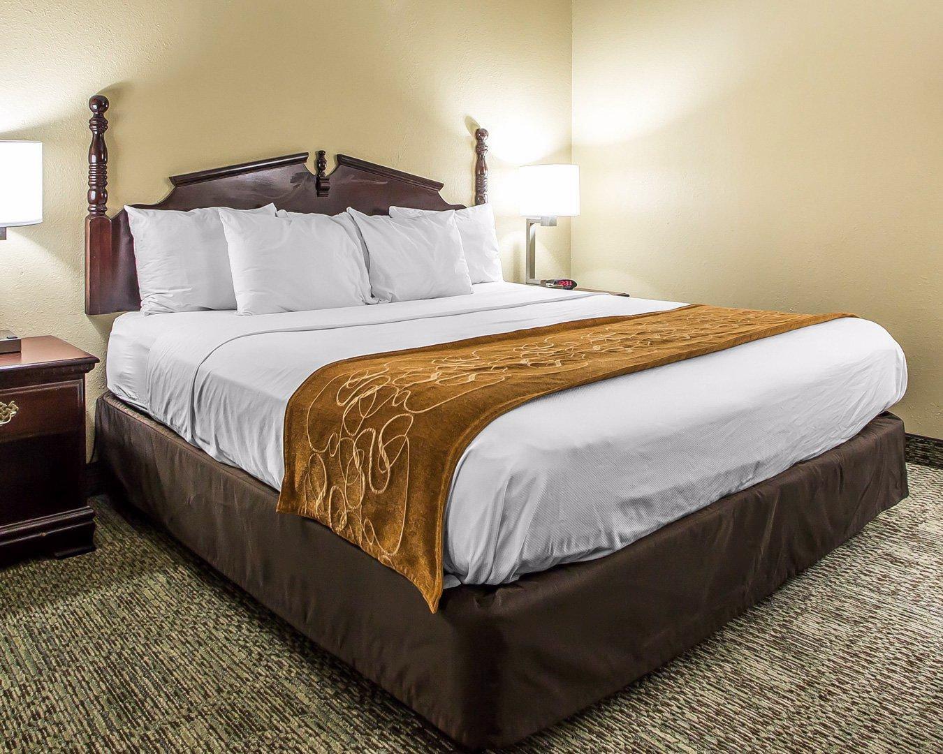 Comfort Suites Near I-80 And I-94 Lansing Buitenkant foto