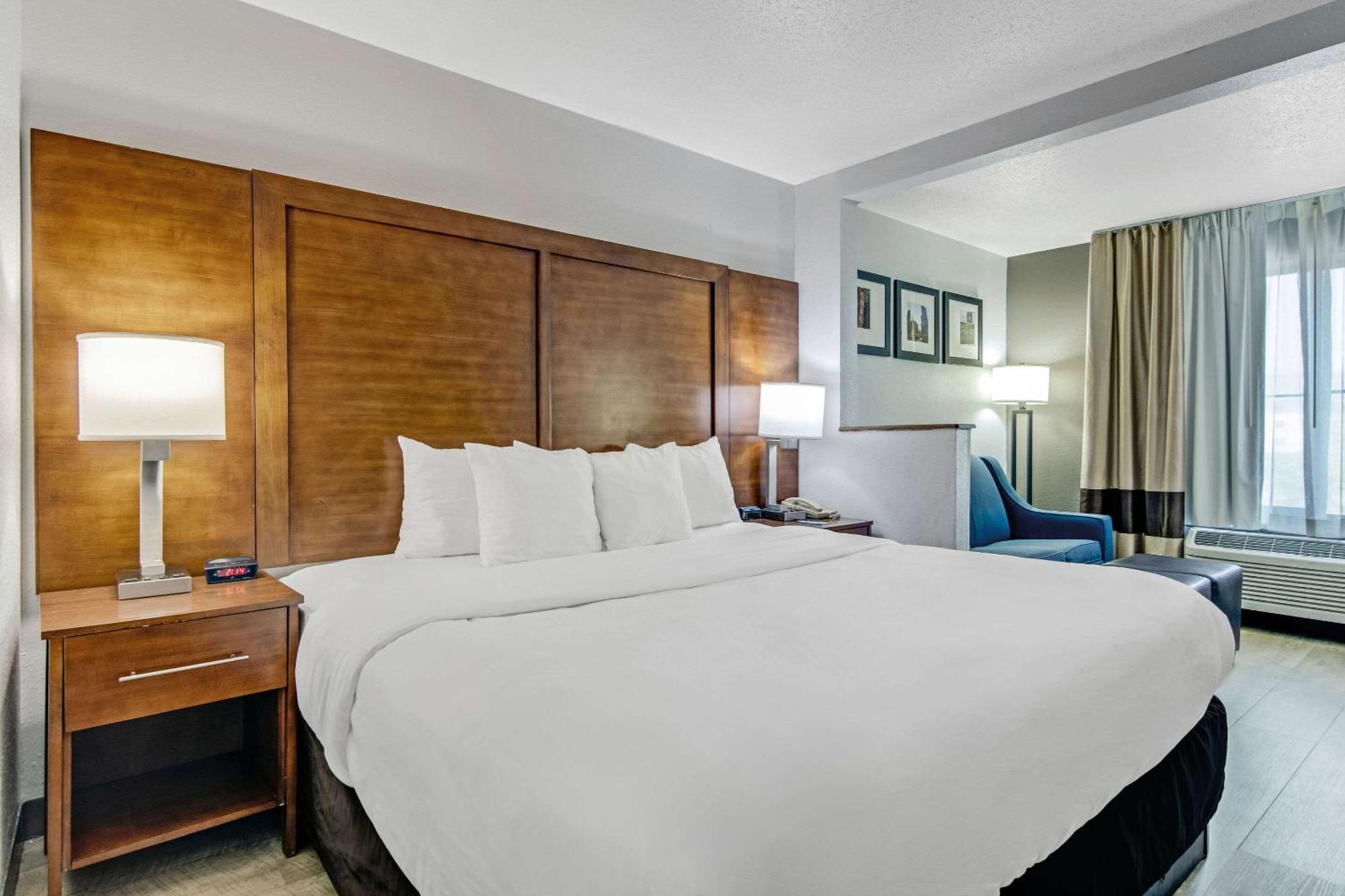Comfort Suites Near I-80 And I-94 Lansing Buitenkant foto