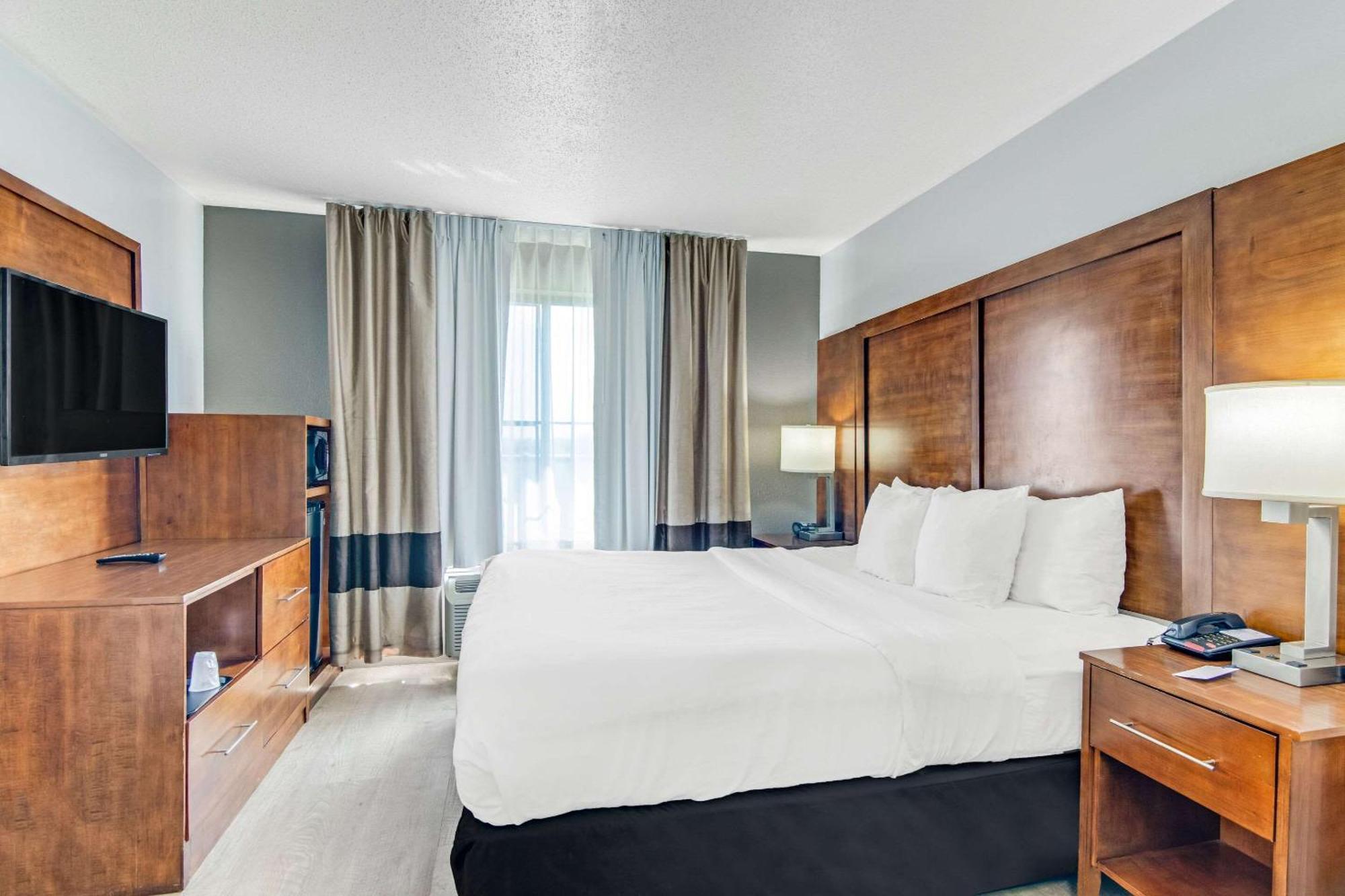 Comfort Suites Near I-80 And I-94 Lansing Buitenkant foto